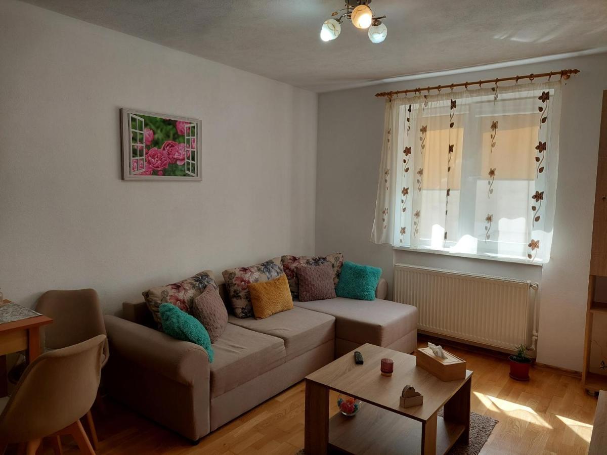 Apartament Ambrus Sighisoara Ngoại thất bức ảnh