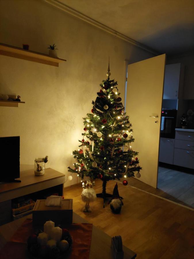 Apartament Ambrus Sighisoara Ngoại thất bức ảnh